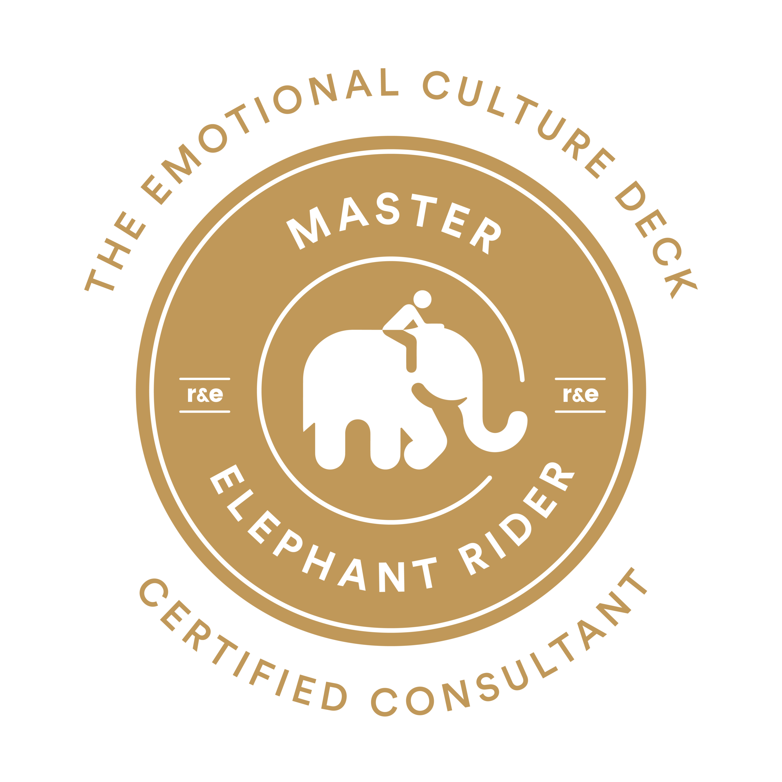 Master Elephant Rider Consultant